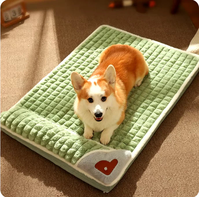 Cama Ortopedica para Mascotas