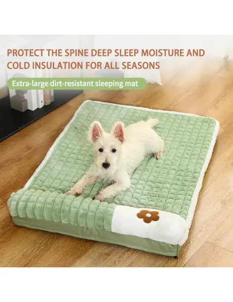 Cama Ortopedica para Mascotas
