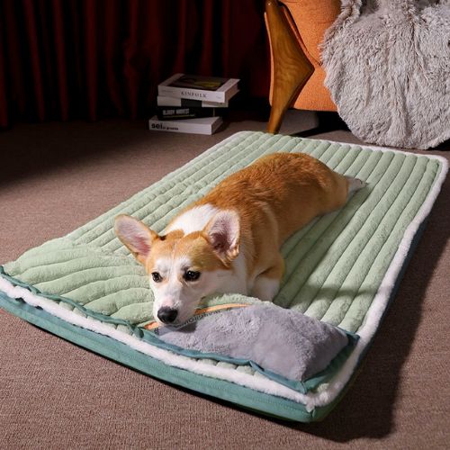 Cama Ortopedica para Mascotas