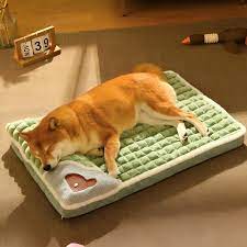 Cama Ortopedica para Mascotas
